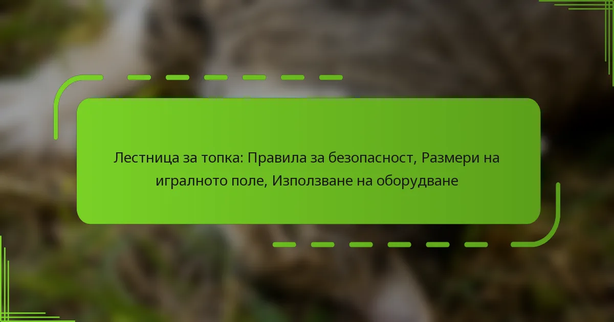 Лестница за топка: Правила за безопасност, Размери на игралното поле, Използване на оборудване