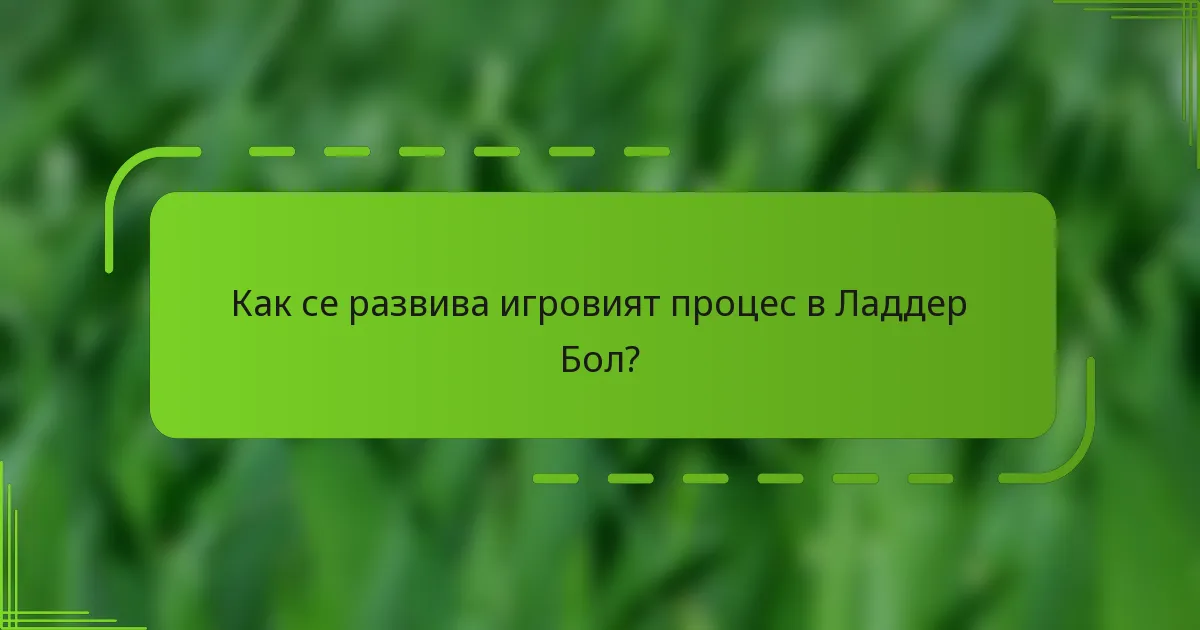 Как се развива игровият процес в Ладдер Бол?